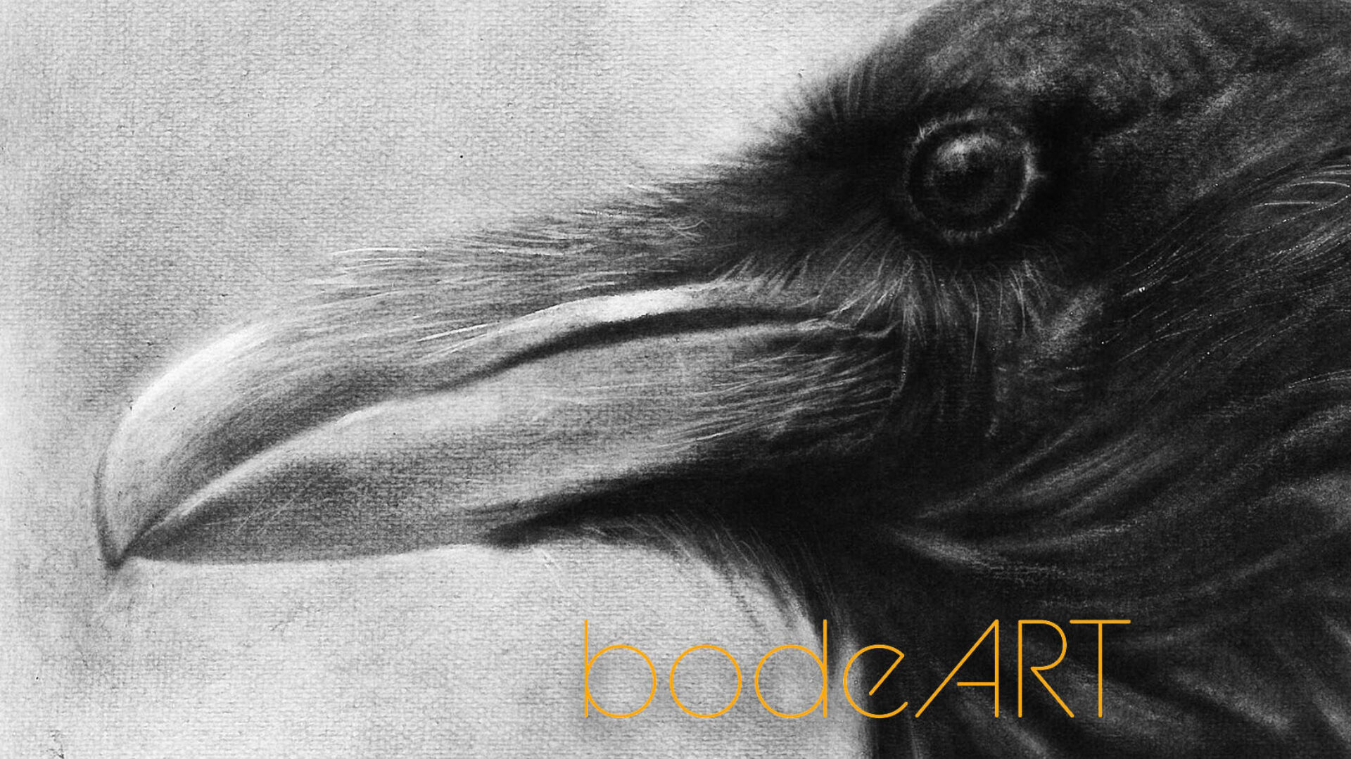 banner-bodeart-rabenzeichnung