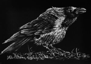 Kreidezeichnung-weiß auf schwarz